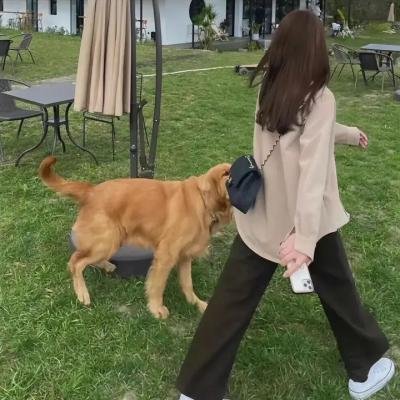 婚戒物语第二季